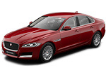 XF